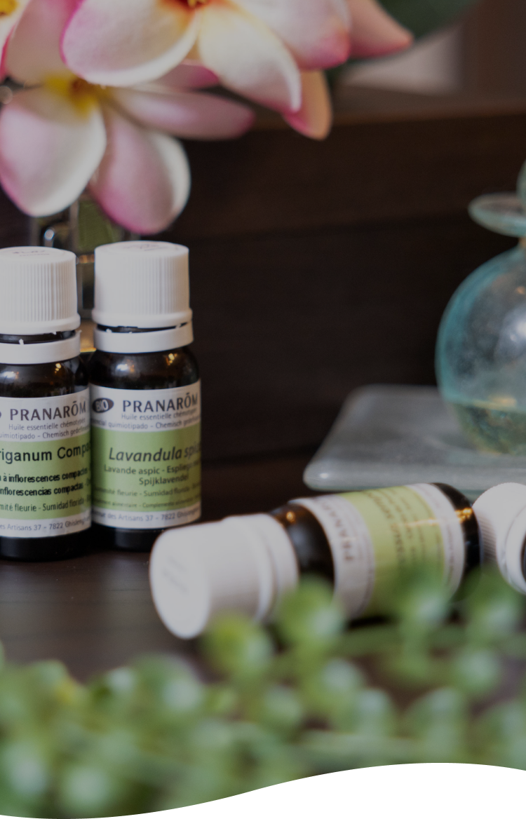 Putri-ご予約はLINEから